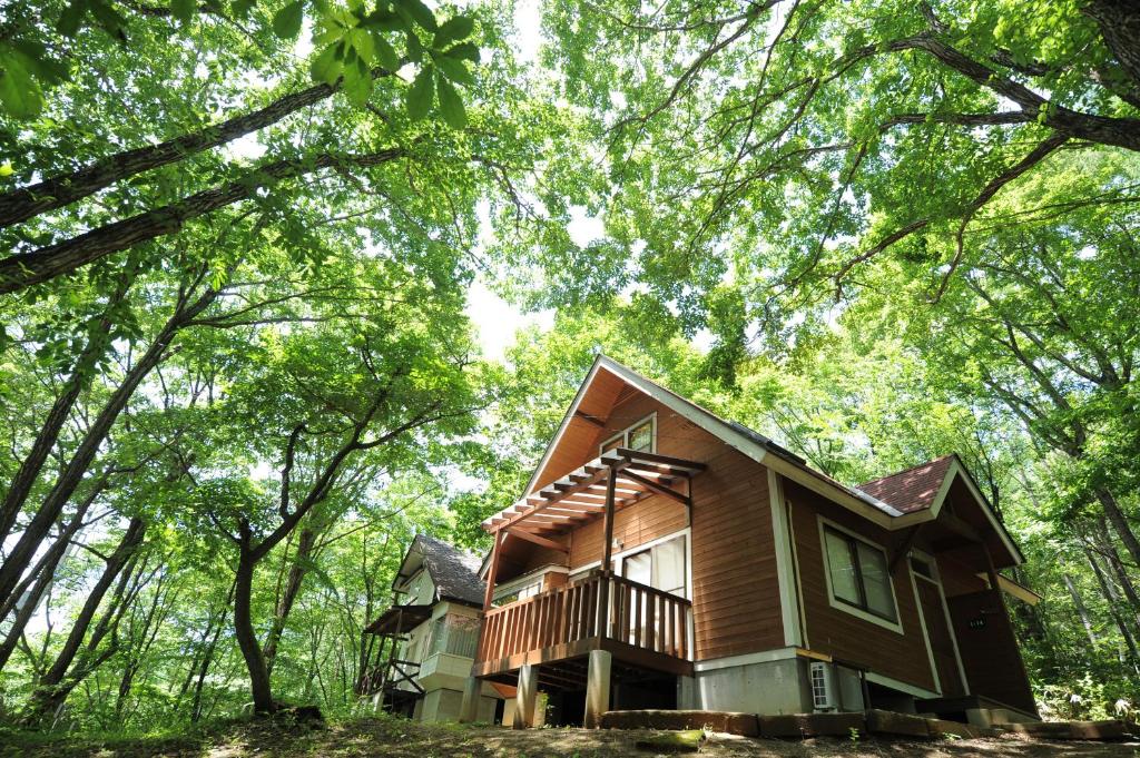 una casa nel bosco con degli alberi intorno di Izumigo AMBIENT Yatsugatake Cottage a Hokuto