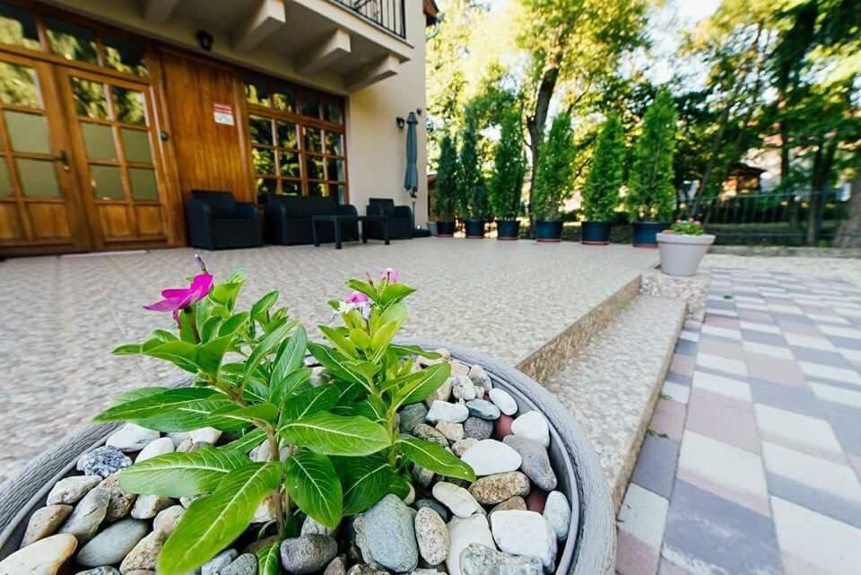 Zahrada ubytování Shubu Zen Vendégház