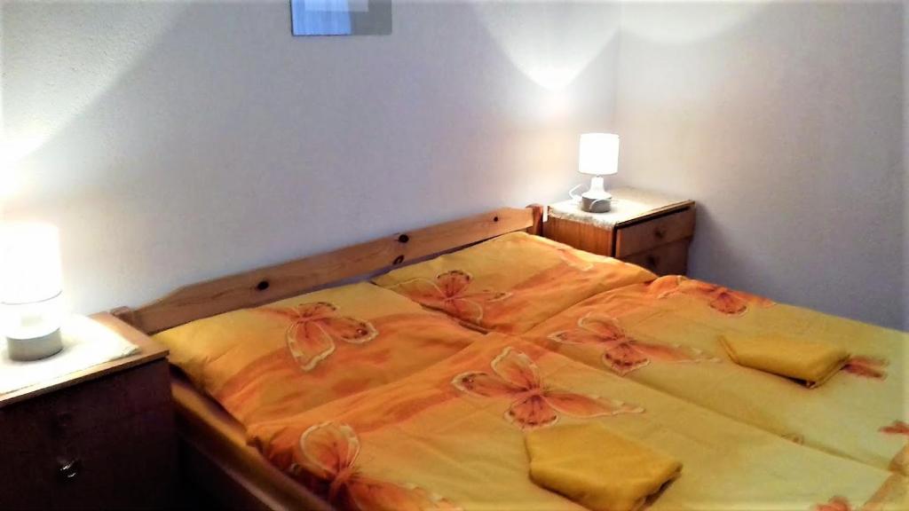 Penzion Sumavacek - Double Room With Private Bathroom