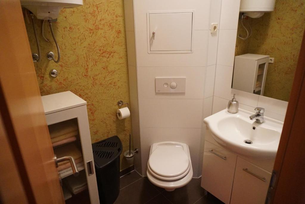 Kúpeľňa v ubytovaní Apartment Kozina