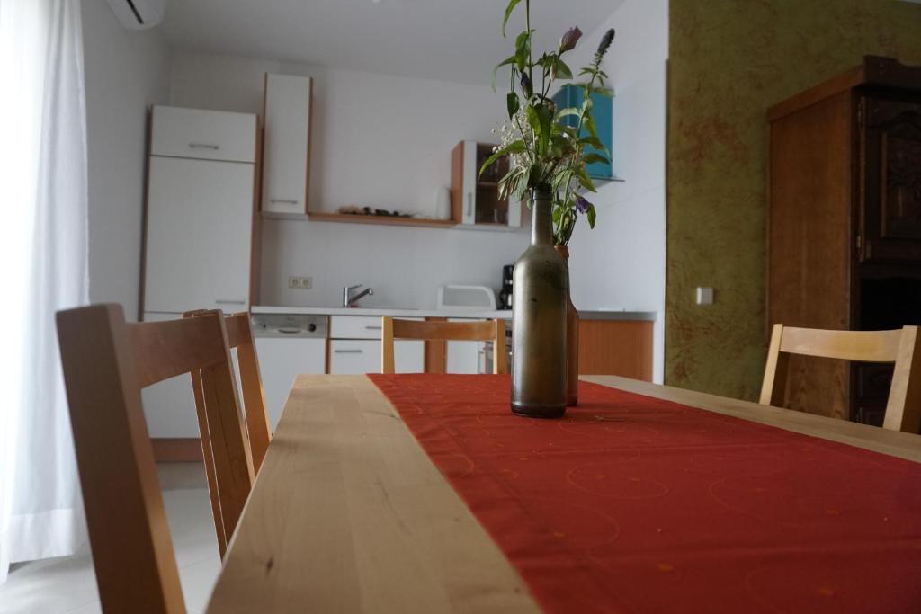 Kuchyňa alebo kuchynka v ubytovaní Apartment Kozina