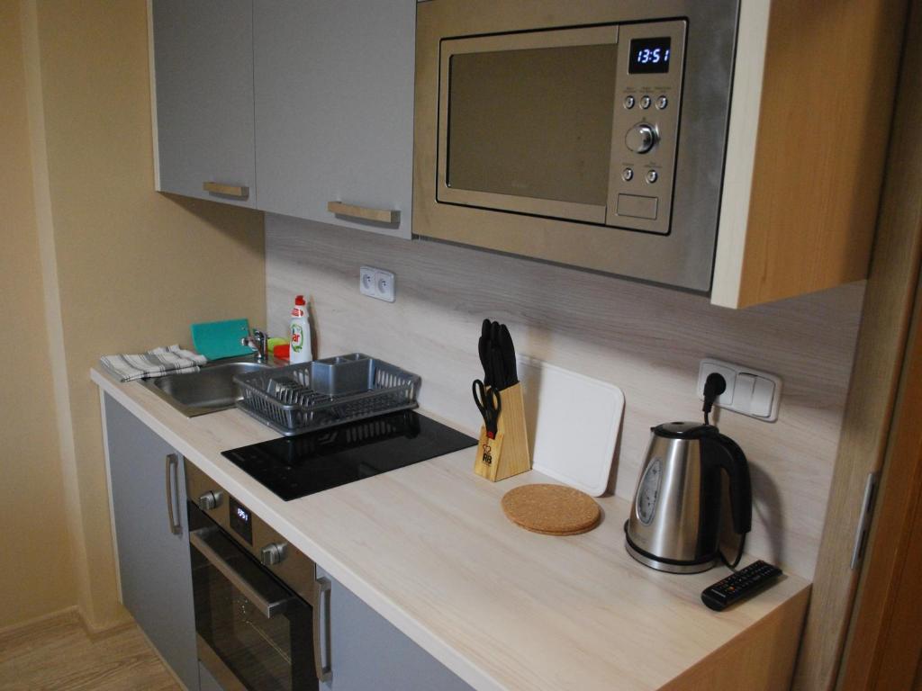 Kuchyň nebo kuchyňský kout v ubytování Apartmán U Zámku