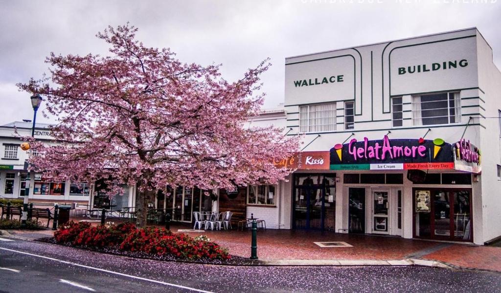 66 Chaucer B&B with Complimentary Breakfast