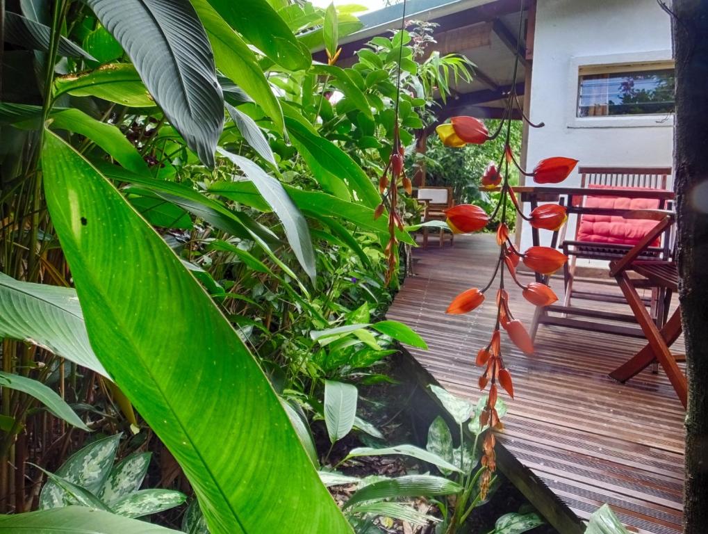 a wooden deck with a chair and some plants at Le Parc aux Orchidées in Pointe-Noire