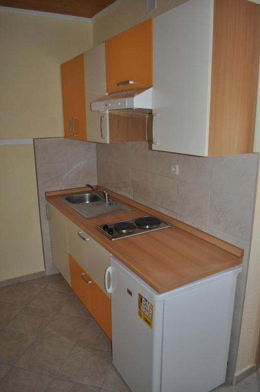 Kuchyň nebo kuchyňský kout v ubytování Apartments Zora