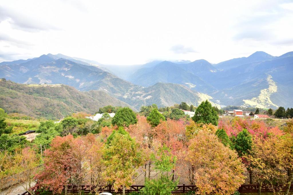 a bunch of trees with mountains in the background at Beverly B&amp;B in Ren&#39;ai