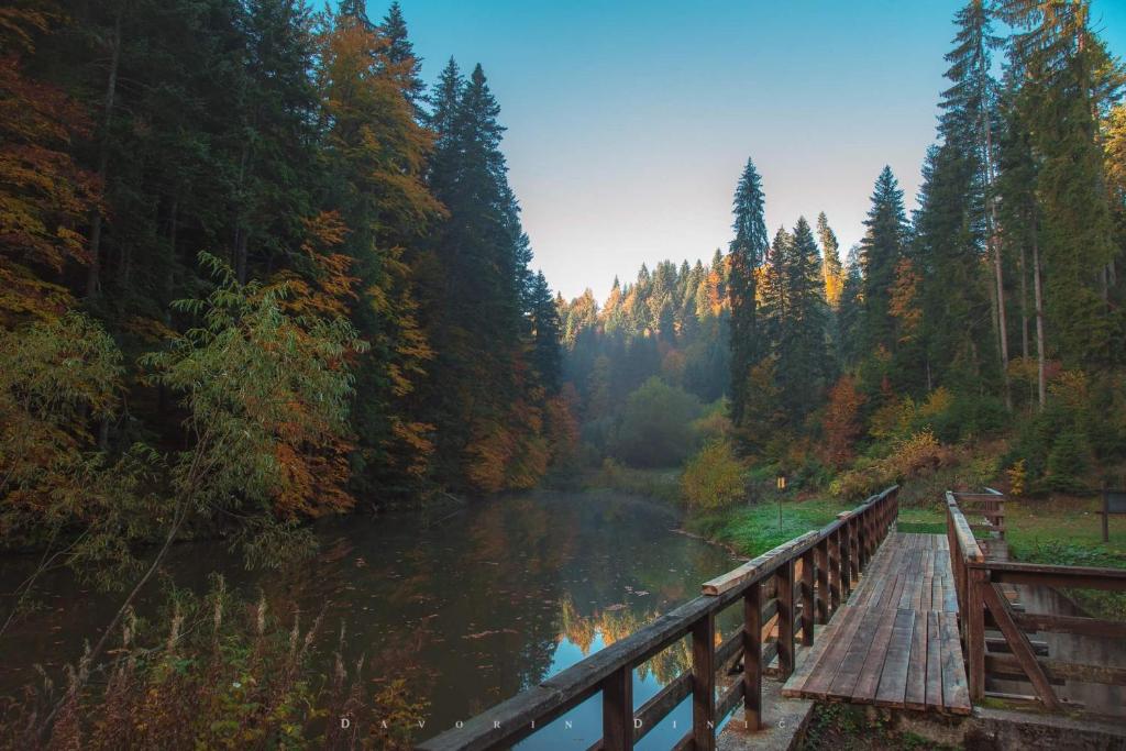 Příroda nedaleko apartmánu
