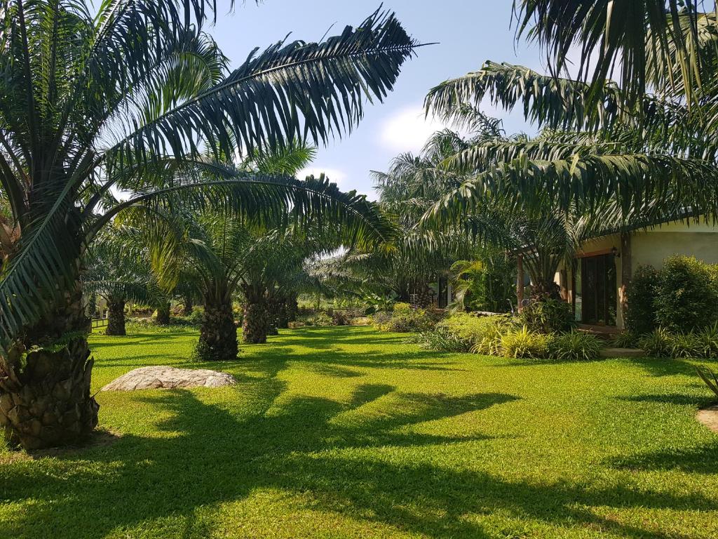 Zahrada ubytování Palm Pran Resort