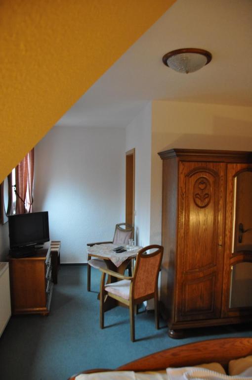 TV a/nebo společenská místnost v ubytování Hotel-Restaurant Elsterblick