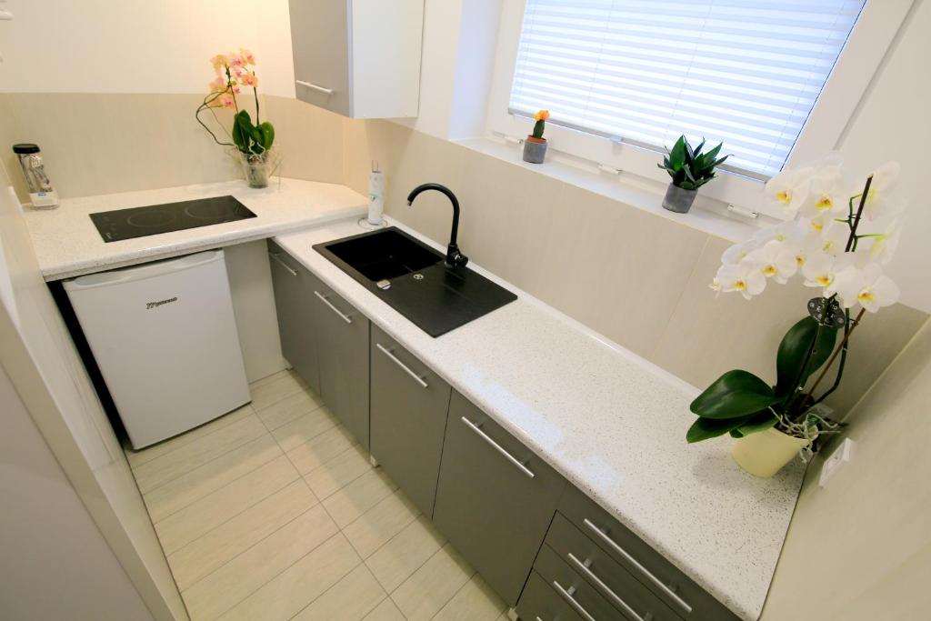 Apartament Esja - Appartement