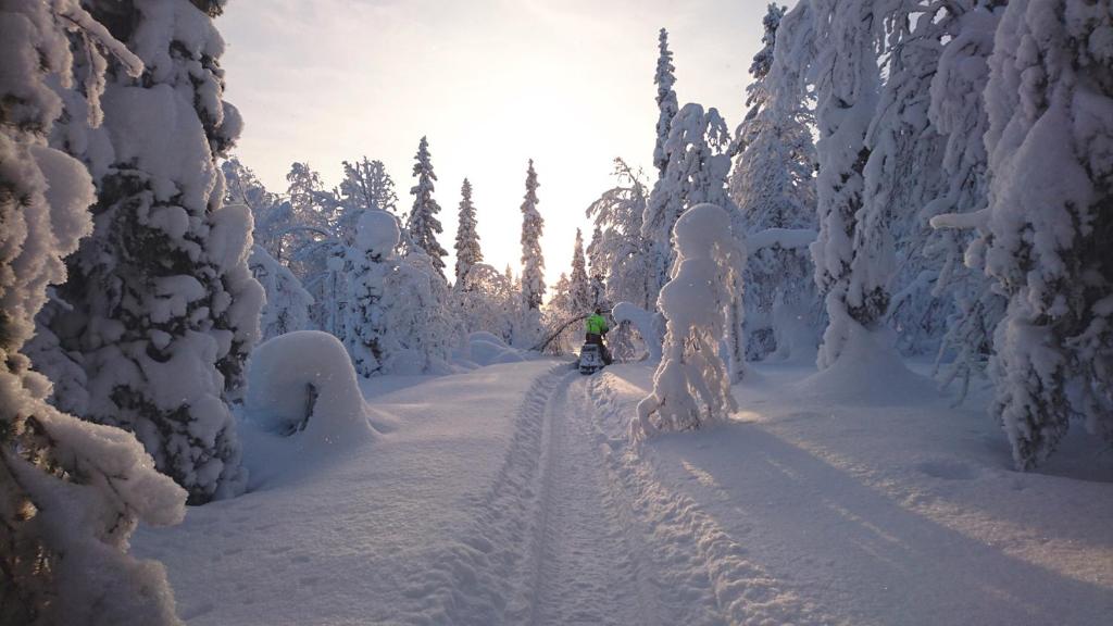 Lapland Snow Cabin v zimě