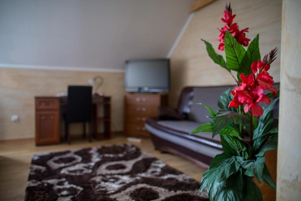 Hotel & Spa Arkadia - Appartement Standard