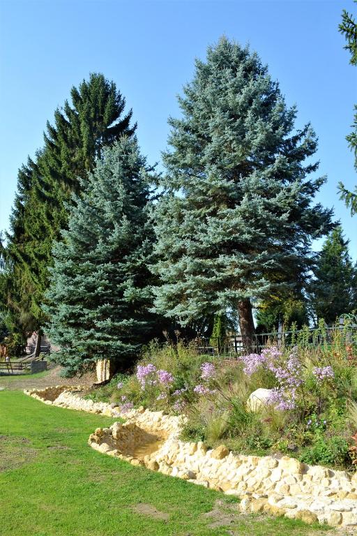 Zahrada ubytování Camping Hitjesvijver