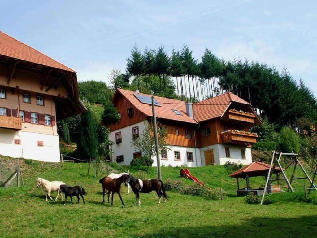 um grupo de cavalos em pé num campo em frente a uma casa em Schwoererhof em Schweighausen