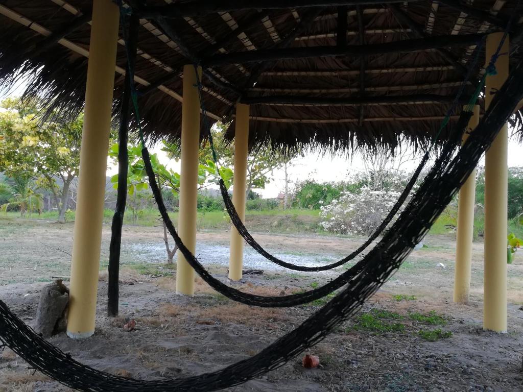 Zahrada ubytování Hosteria Mar de Plata