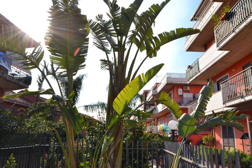 Une bande de plantes devant certains bâtiments dans l'établissement Relax House, à Giardini Naxos