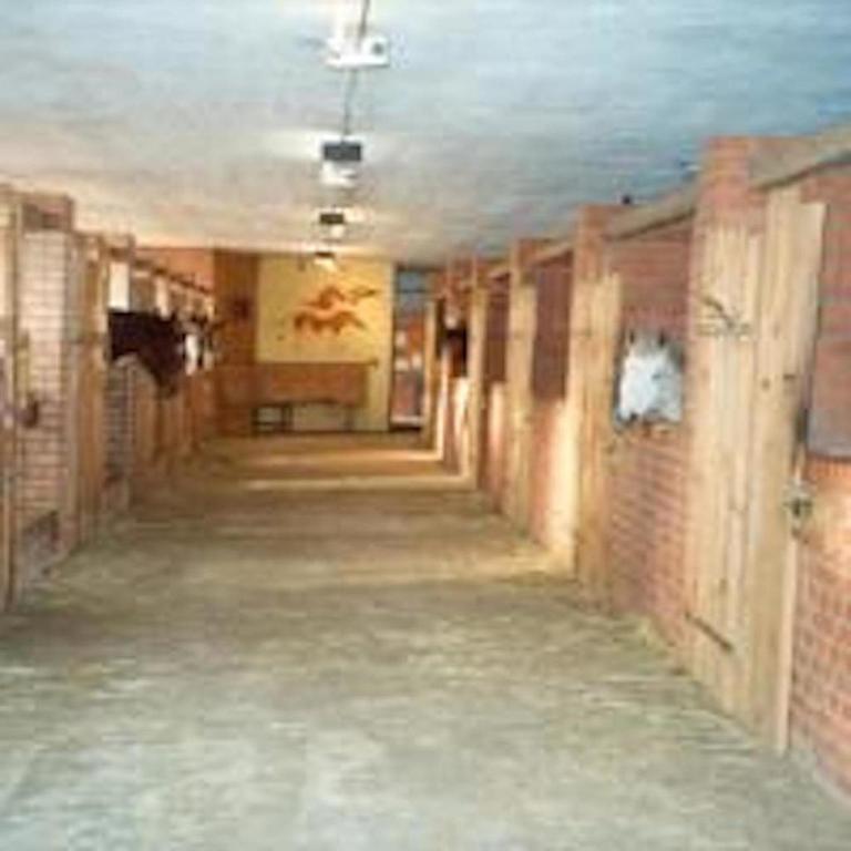 Fotografie z fotogalerie ubytování Hof Kranichweide, Holzblockhaus v destinaci Saal