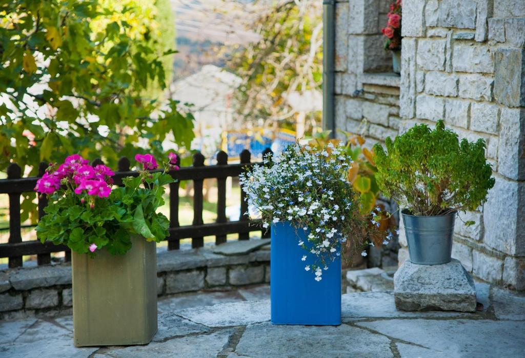 A garden outside En Chora Vezitsa