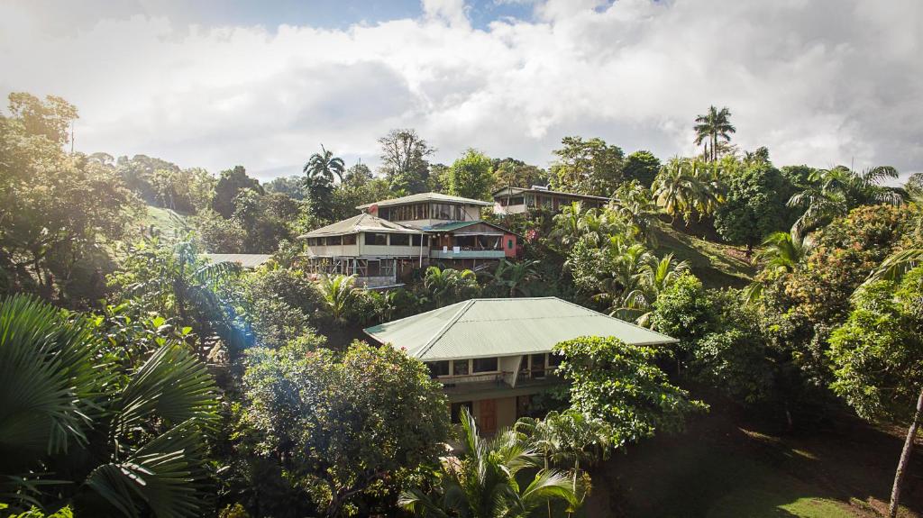 una casa sul fianco di una collina con alberi di Hotel Rancho Corcovado a Bahía Drake