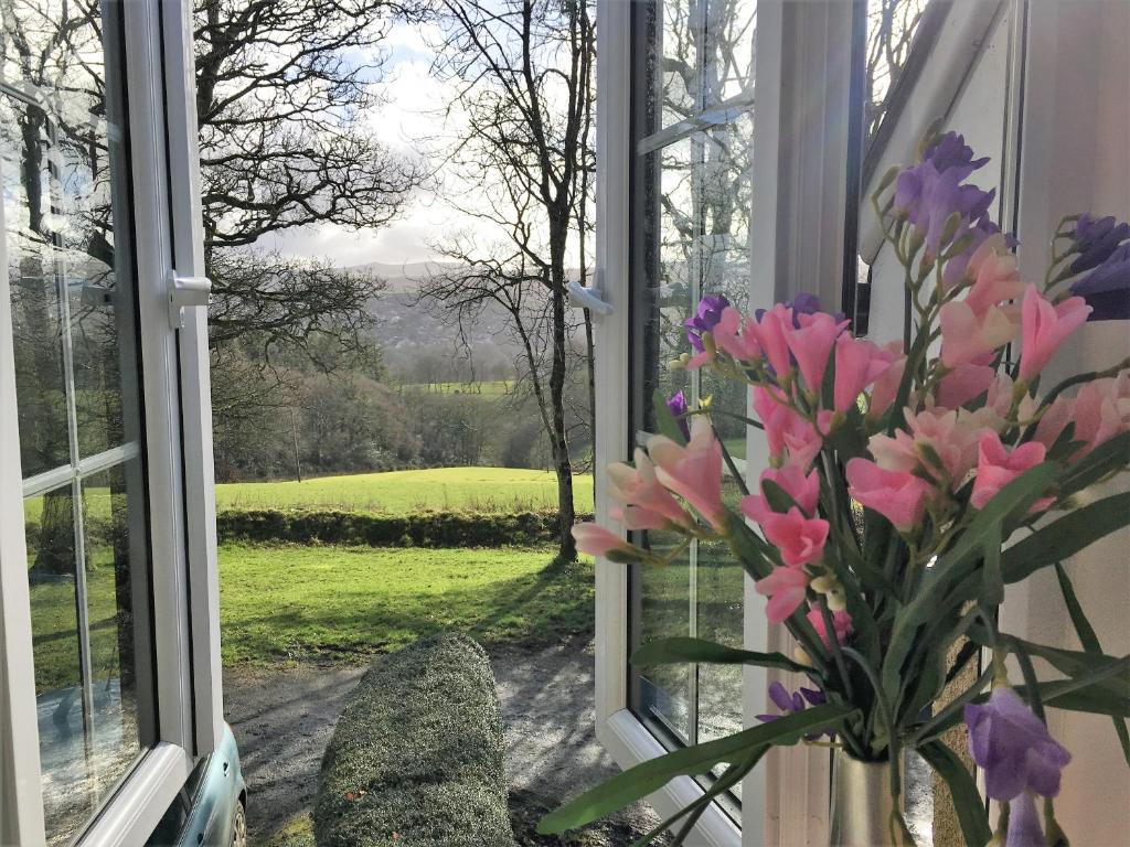 a vase of flowers sitting in front of a window at Meadow Sweet Cottage in Okehampton