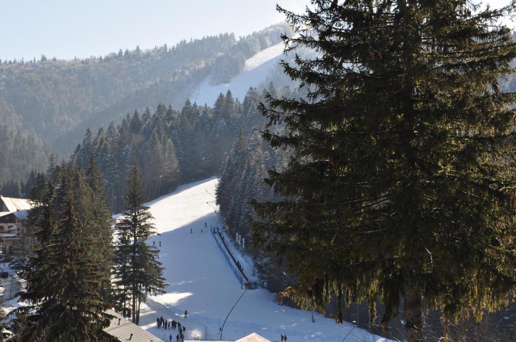 un groupe de personnes skier sur une montagne enneigée dans l'établissement Garden Apart, à Predeal