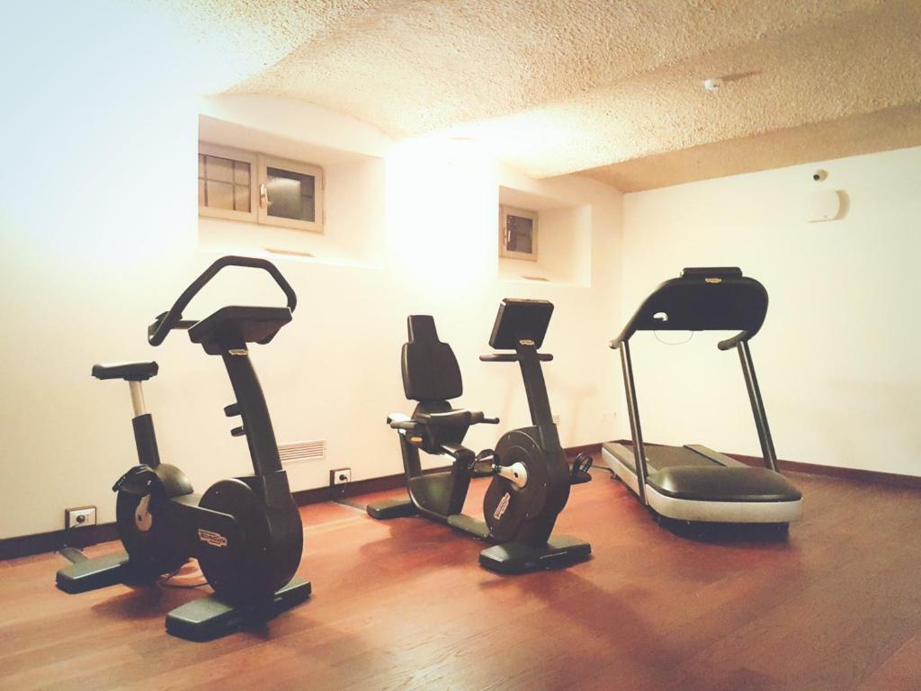 Fitness centrum a/nebo fitness zařízení v ubytování Europalace Hotel, BW Signature Collection