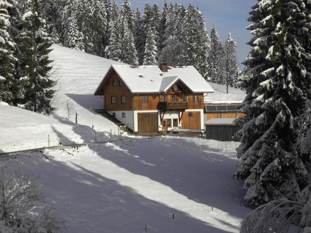 a large wooden house in the snow with trees at Friesenhof Blank in Sulzberg