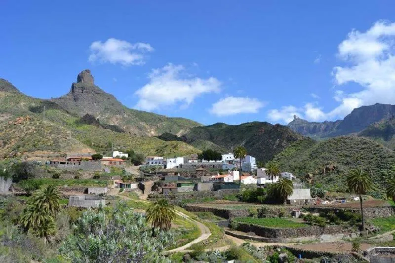 Casas rurales aceptan mascotas en Tejeda - Casa rural El Coronel