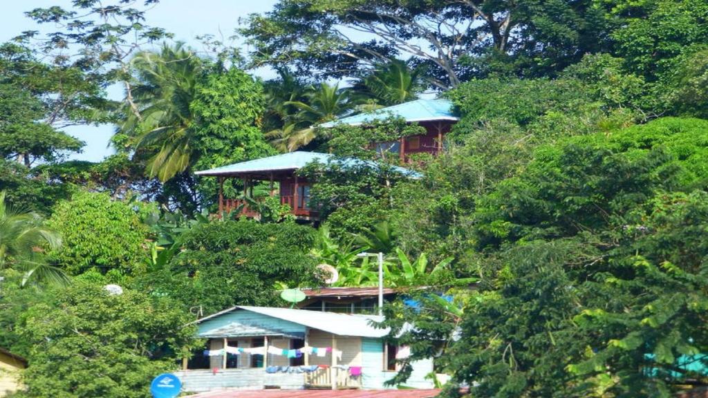 Gallery image of Casa Basti-Hill in Bocas del Toro