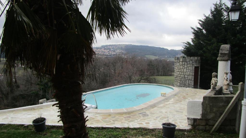 a swimming pool in a yard with a palm tree at Fouettara in Firminy