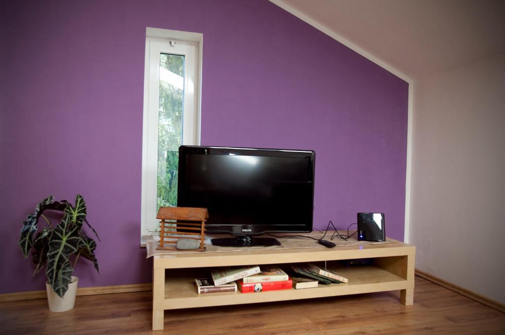 TV a/nebo společenská místnost v ubytování Apartments Soča
