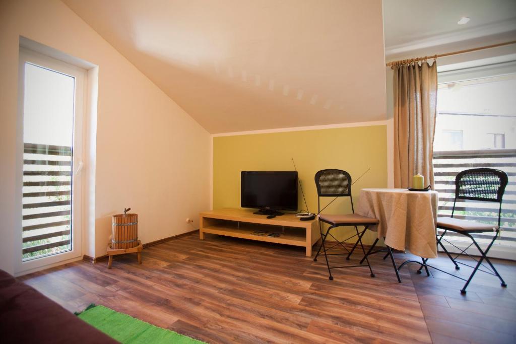 TV a/nebo společenská místnost v ubytování Apartments Soča