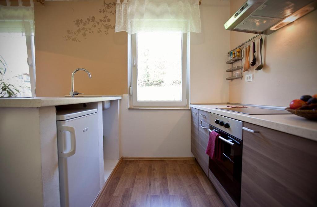 Kuchyň nebo kuchyňský kout v ubytování Apartments Soča