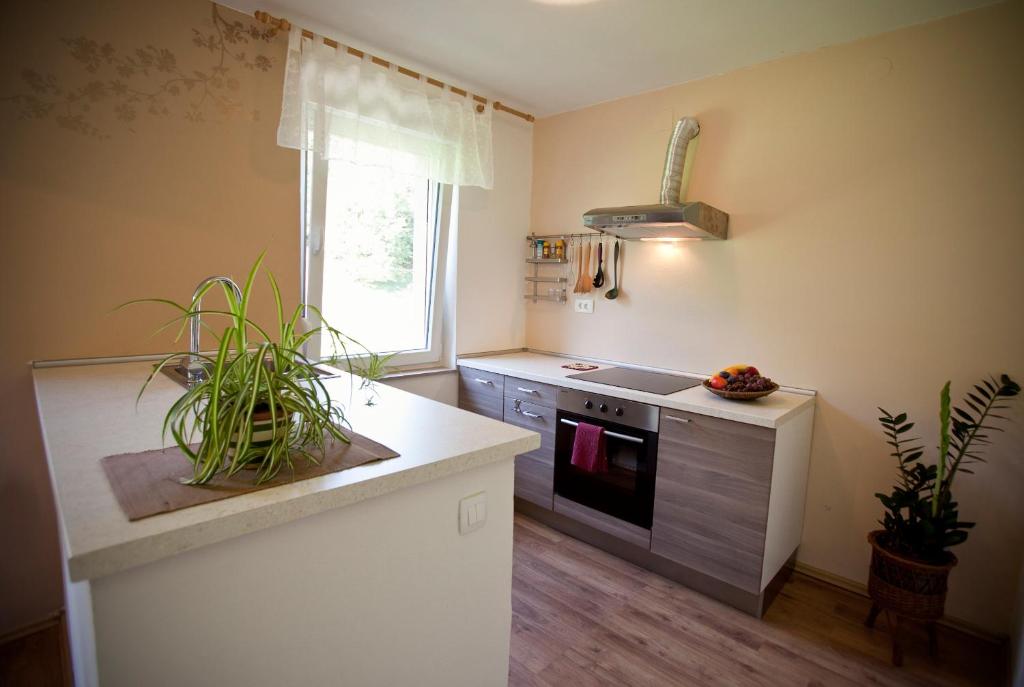 Kuchyň nebo kuchyňský kout v ubytování Apartments Soča