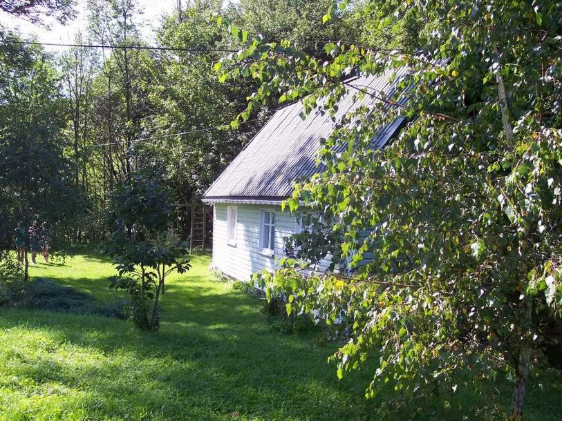 a white building in the middle of a yard with trees at Zielony Domek Wisłoczek in Rymanów