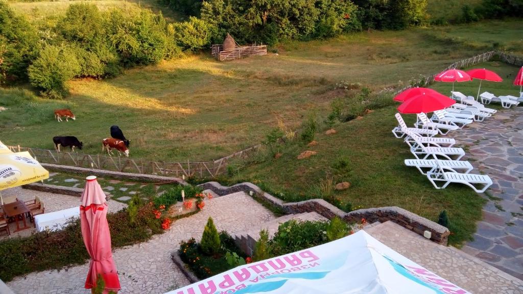 Zahrada ubytování Hotel Enchevi