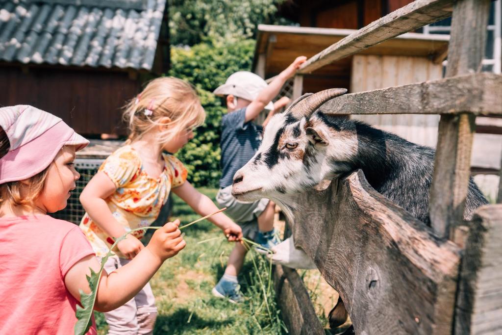 Děti v ubytování Bauernhofferien Oberdürnberg