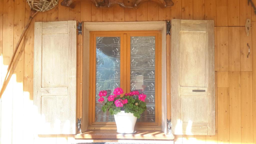 une fenêtre avec une plante en pot sur un rebord de fenêtre dans l'établissement Le Perce Neige, à Vaujany