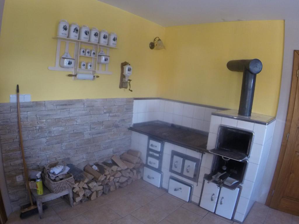 Zdjęcie z galerii obiektu Apartment U Videmanů w mieście Poniklá
