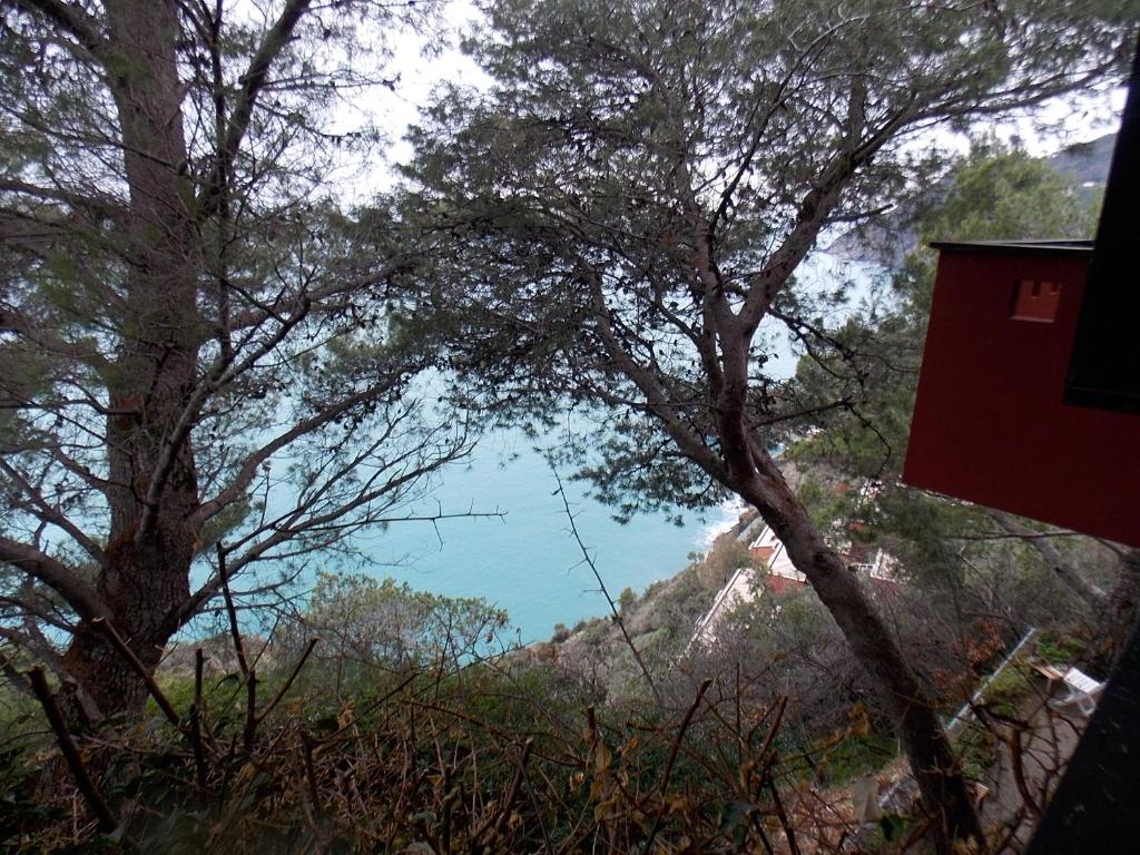 vista sull'acqua attraverso gli alberi di Cinqueterre National Park with Super Sea View a Framura