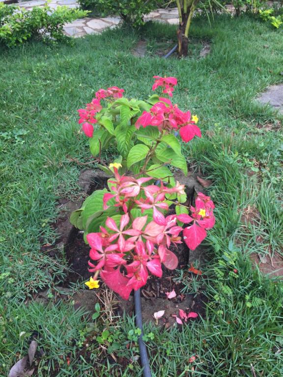  Recanto das Pedras São Leopoldo