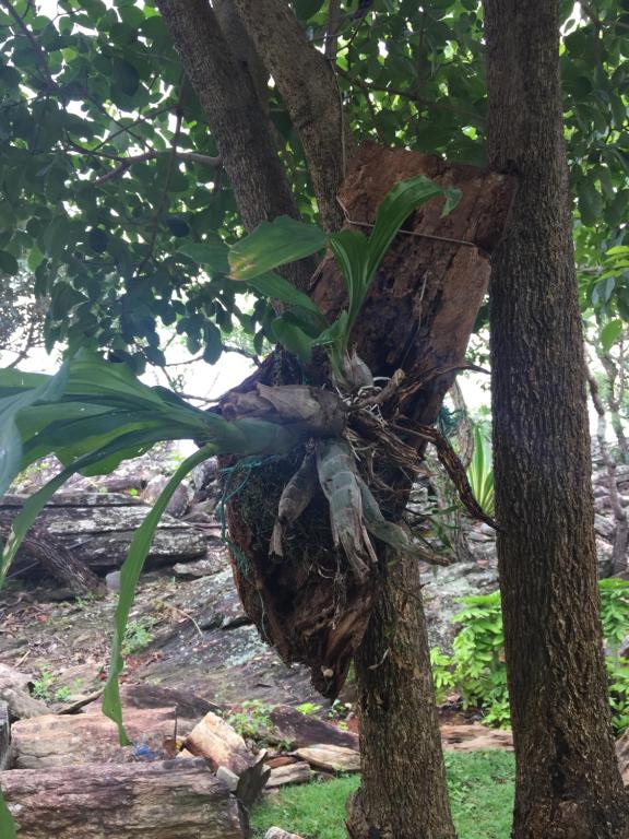  Recanto das Pedras São Leopoldo