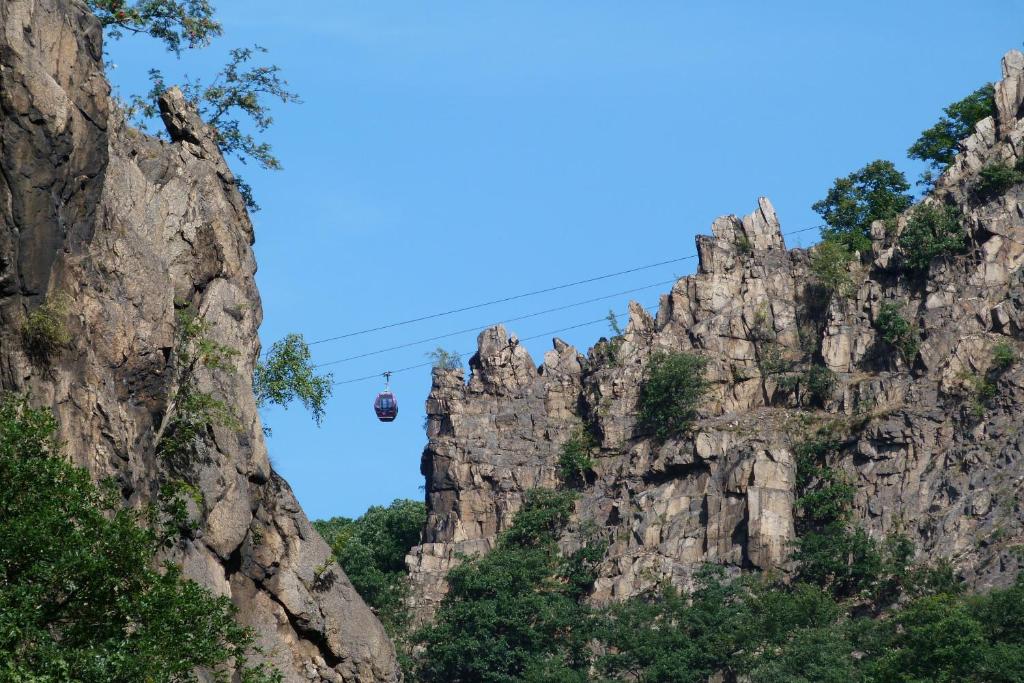 Ferienwohnung-Thale-Ritter - 7