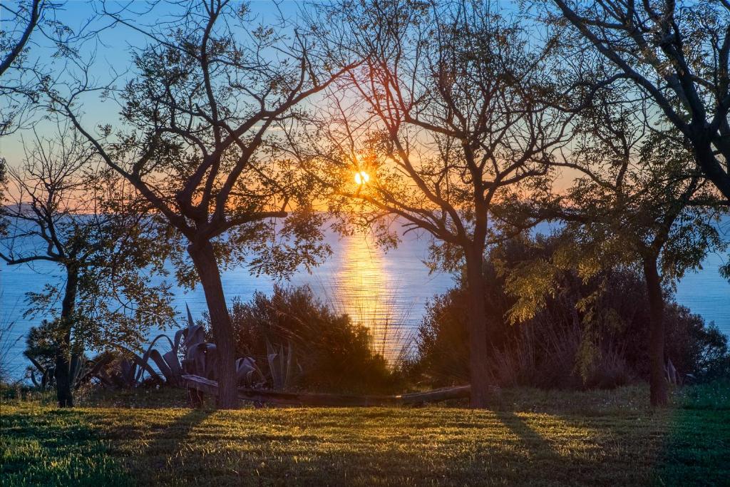 フォンテブランダにあるAppartamento al Forte di Talamonaccioの手前の木々が植えられた水上の夕日