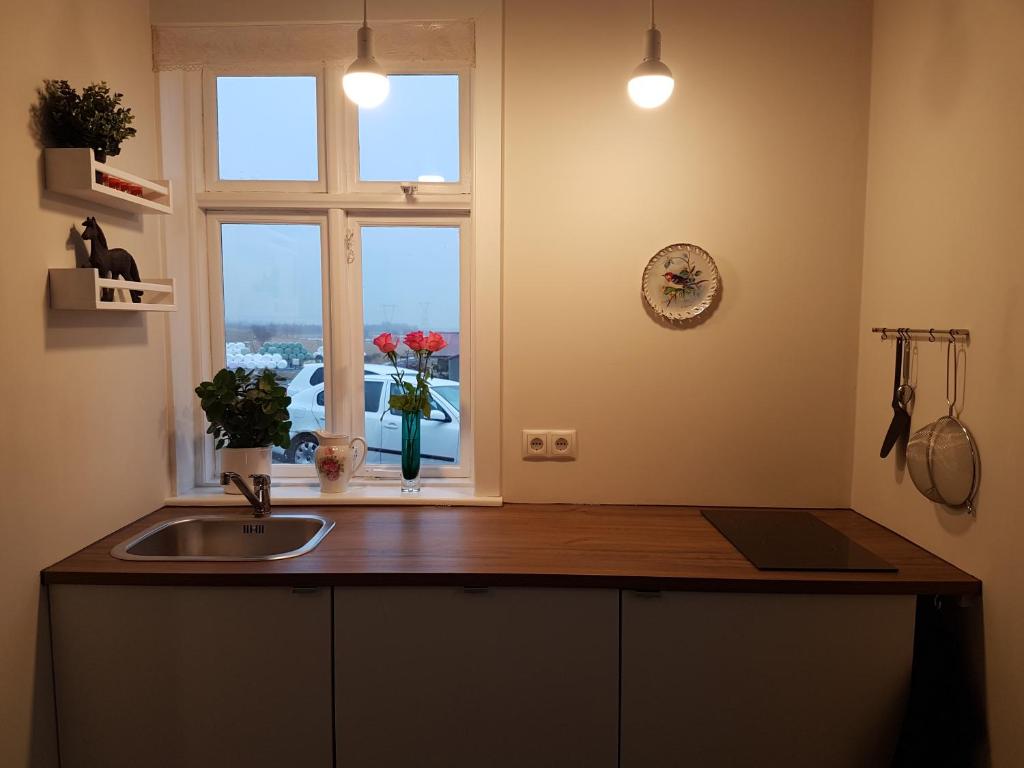 Fotografie z fotogalerie ubytování Vorsabær Apartment v destinaci Selfoss