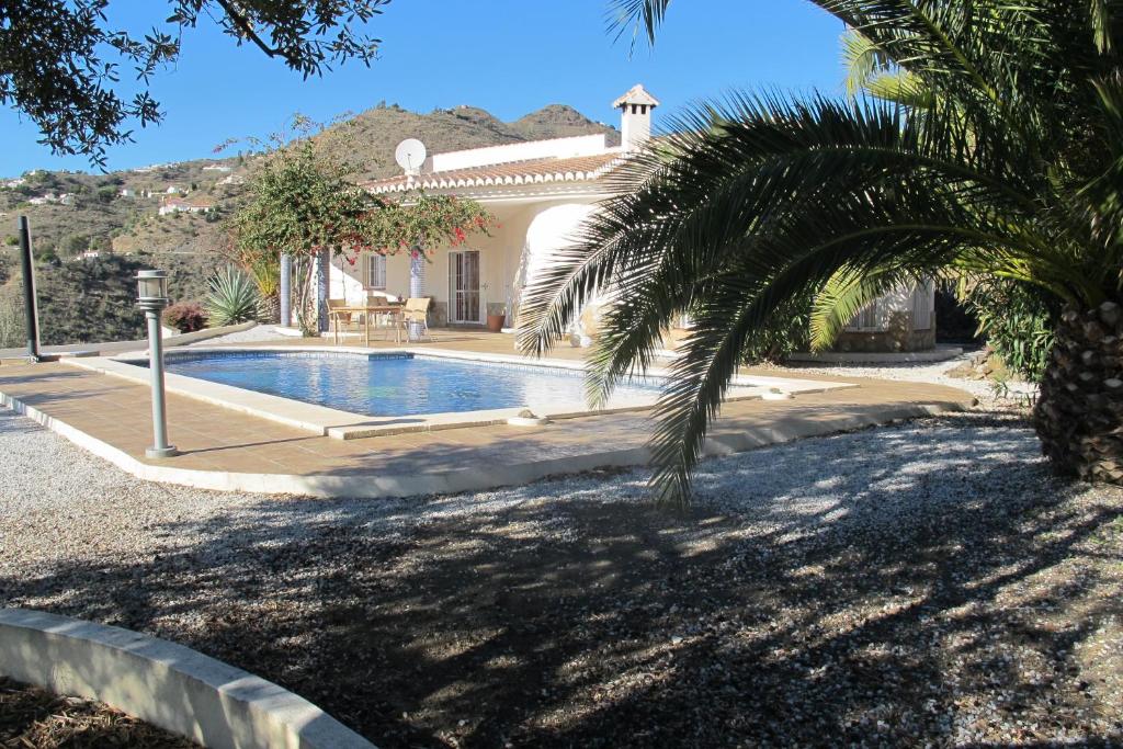 una casa con una palmera y una piscina en Villa Camakini, en Arenas