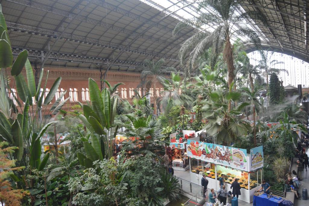 Fotografie z fotogalerie ubytování Ever House Atocha v destinaci Madrid