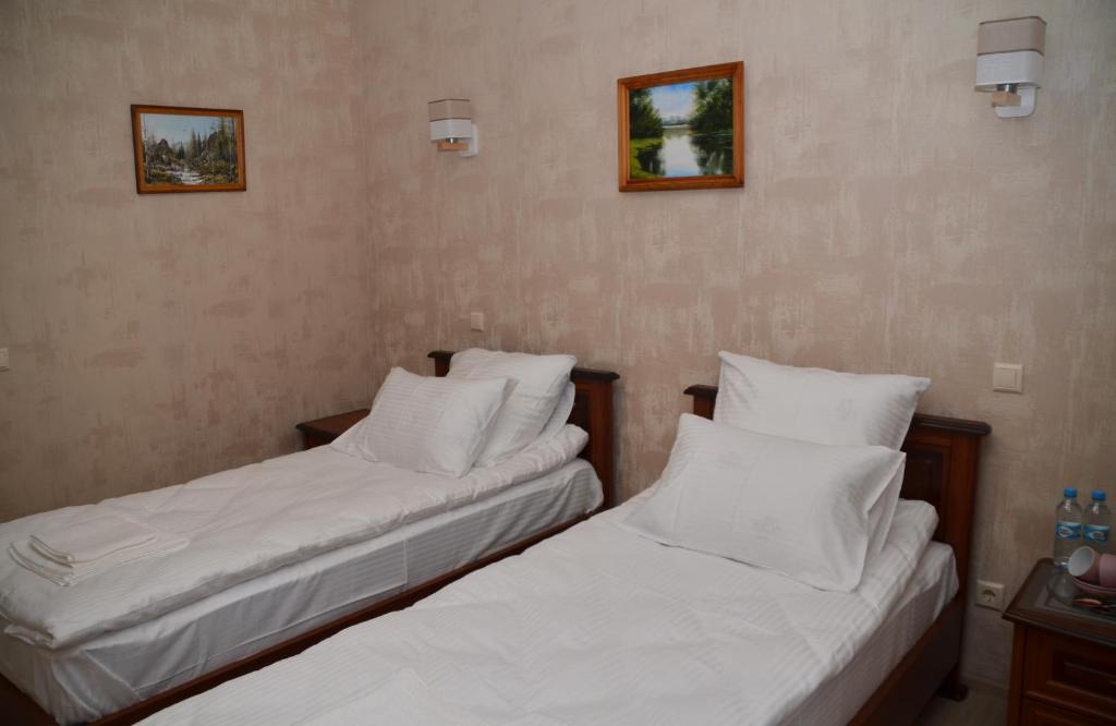 Centralnyi hotel - الغرفة ذات الغرفة التوائم مع الحمامات