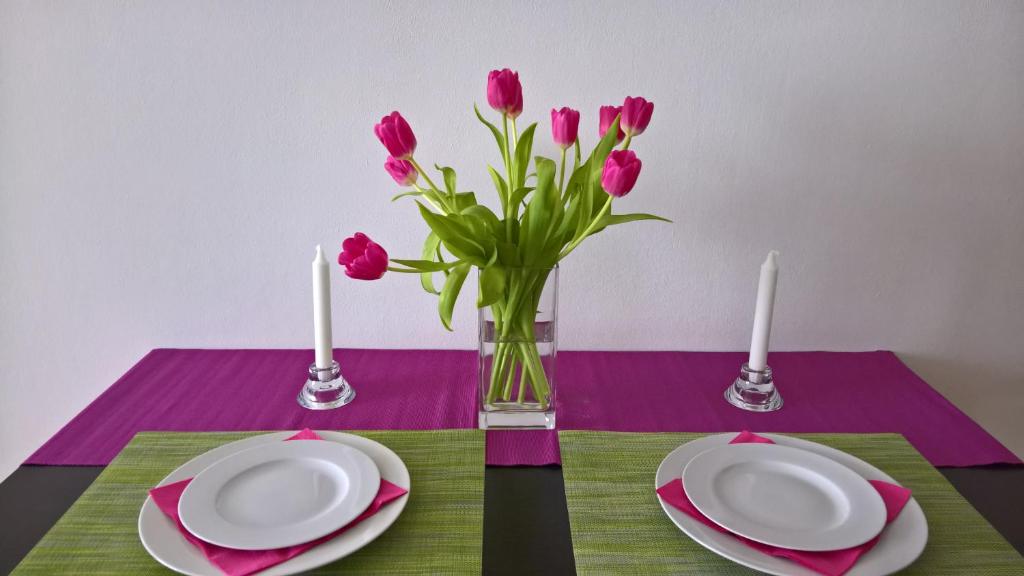 Fotografie z fotogalerie ubytování Apartmán Zderadova v destinaci Brno