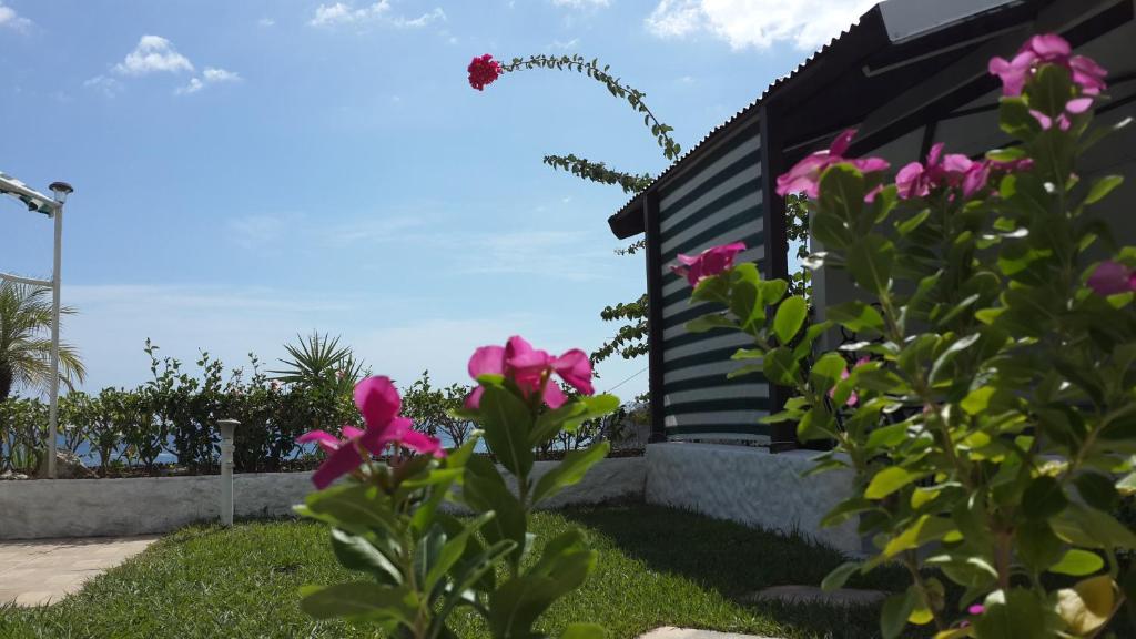 Zahrada ubytování Barracuda apartments